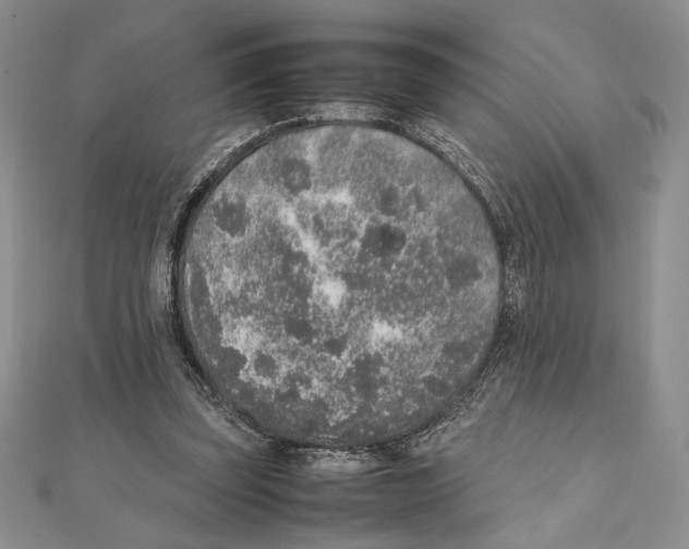 X0000111650347200908141257