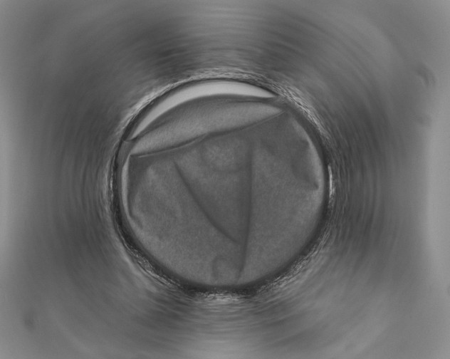 X0000111650348200908141257