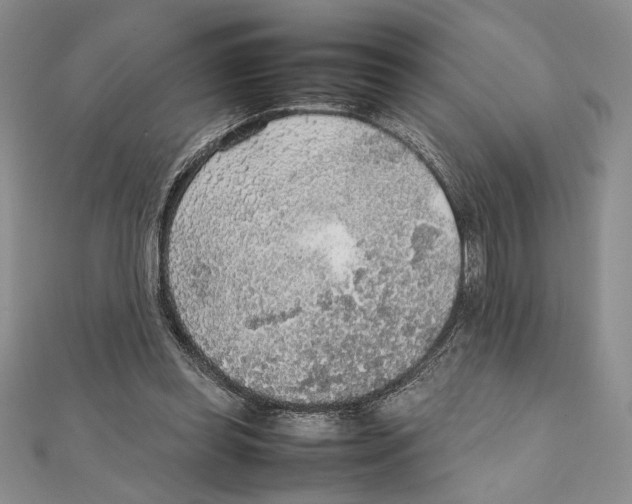 X0000111650349200908141257