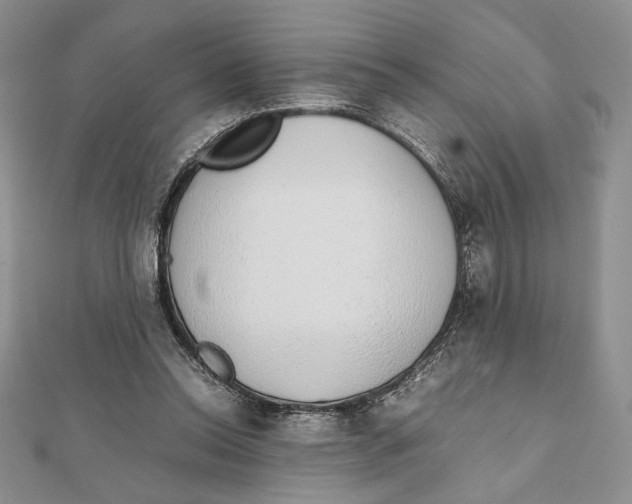 X0000111650350200908141257