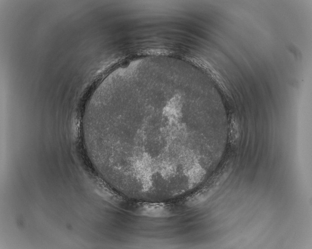 X0000111650355200908141257