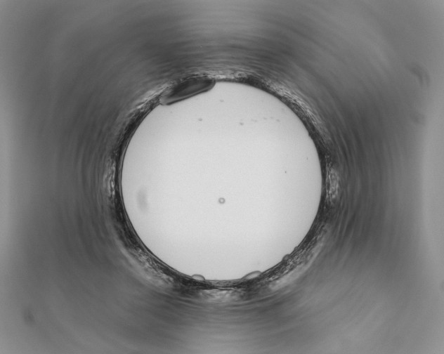 X0000111650356200908141257