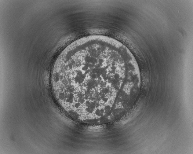 X0000111650357200908141257