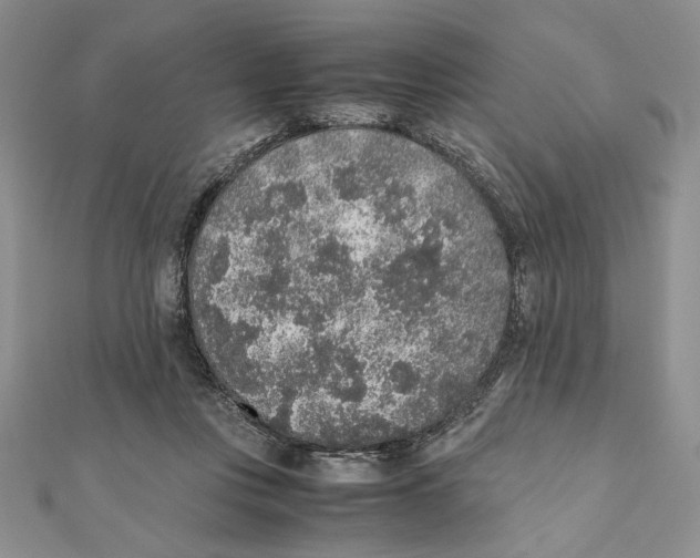 X0000111650359200908141257