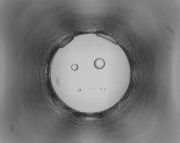 X0000111650360200908141257