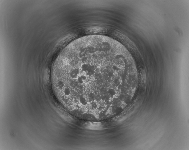 X0000111650361200908141257