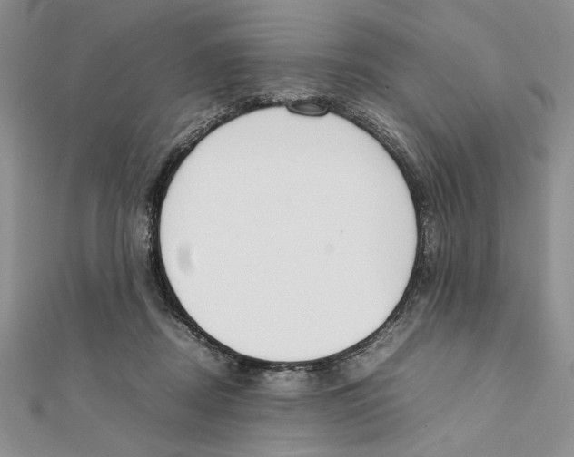X0000111650362200908141257