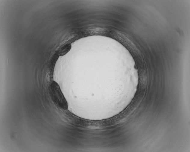 X0000111650363200908141257