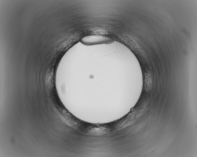 X0000111650364200908141257