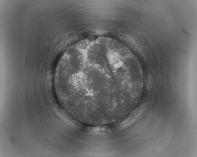 X0000111650366200908141257