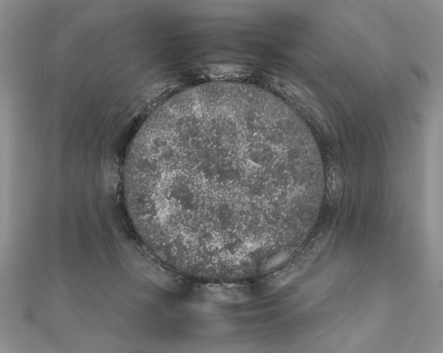 X0000111650367200908141257