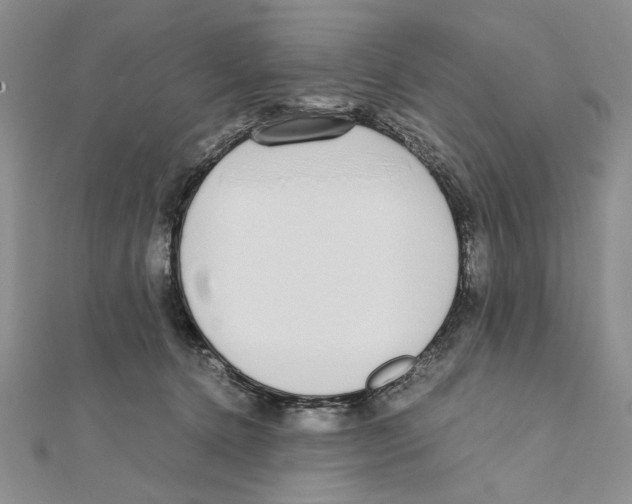 X0000111650368200908141257