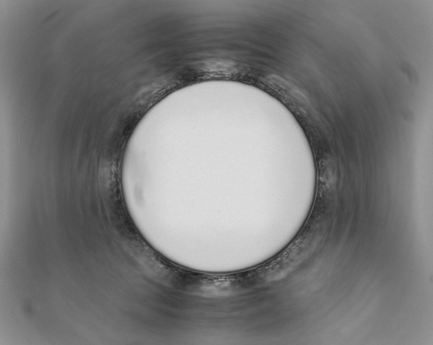 X0000111650369200908141257