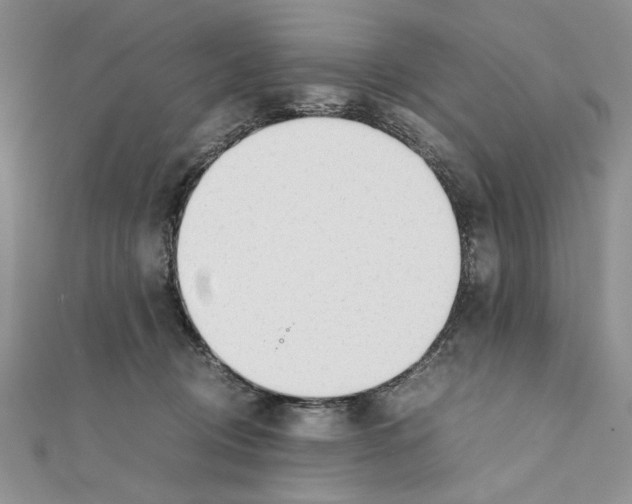 X0000111650370200908141257