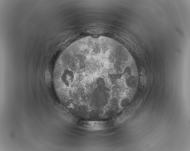 X0000111650371200908141257