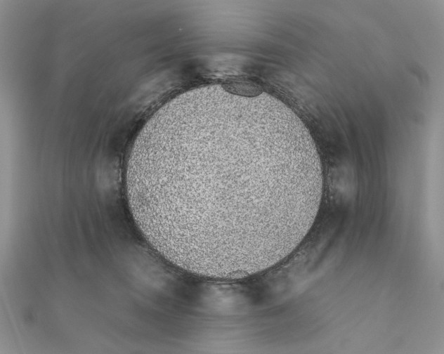 X0000111650372200908141257