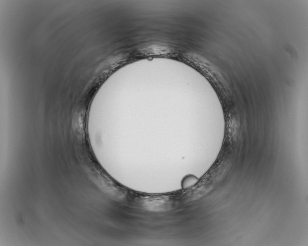 X0000111650373200908141257