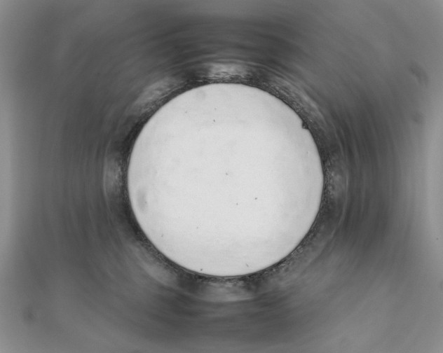 X0000111650375200908141257