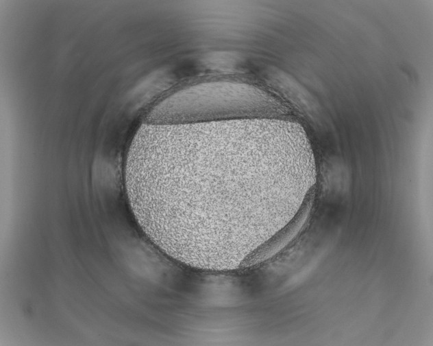 X0000111650376200908141257