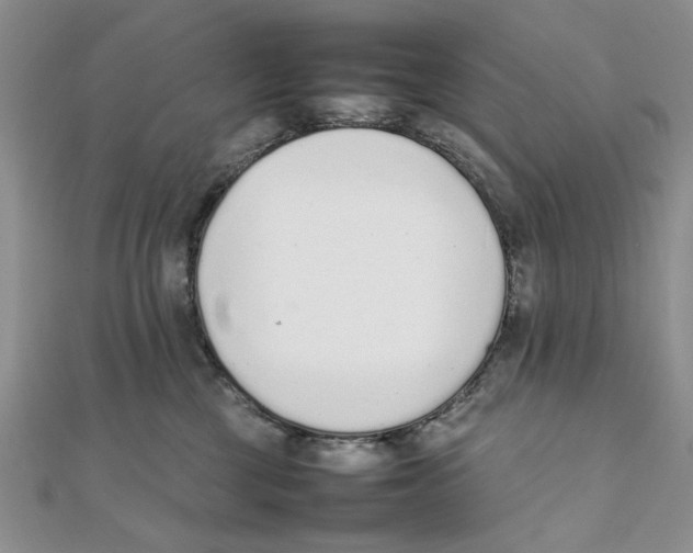X0000111650377200908141257
