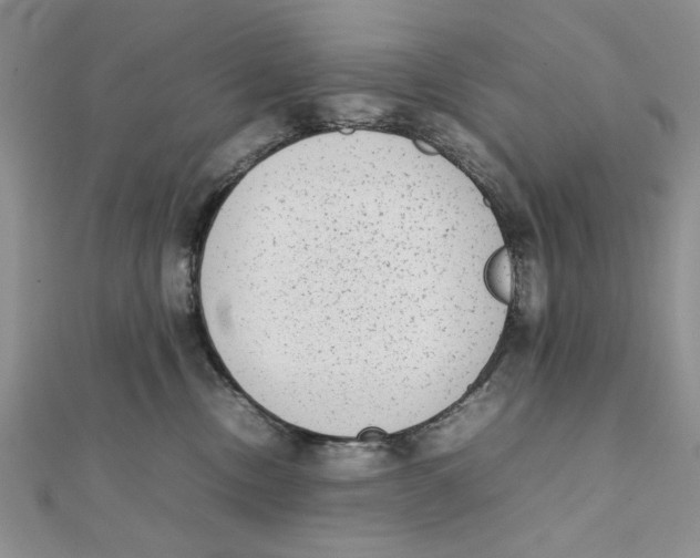 X0000111650378200908141257
