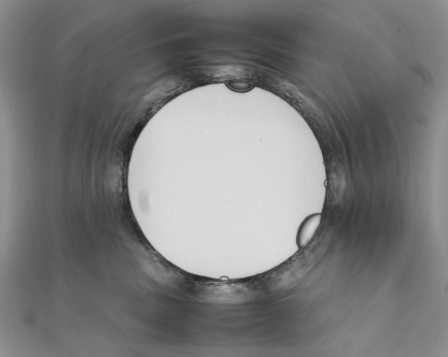 X0000111650379200908141257