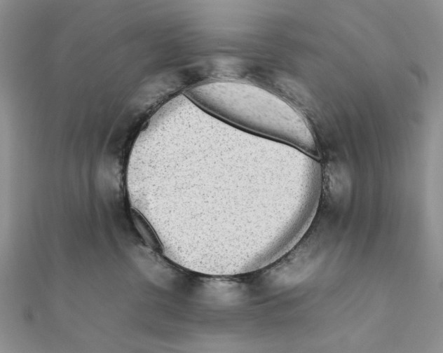 X0000111650380200908141257