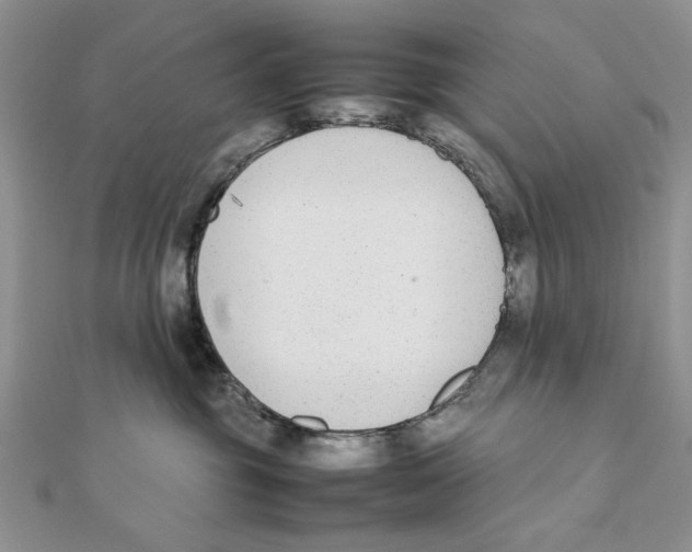 X0000111650381200908141257