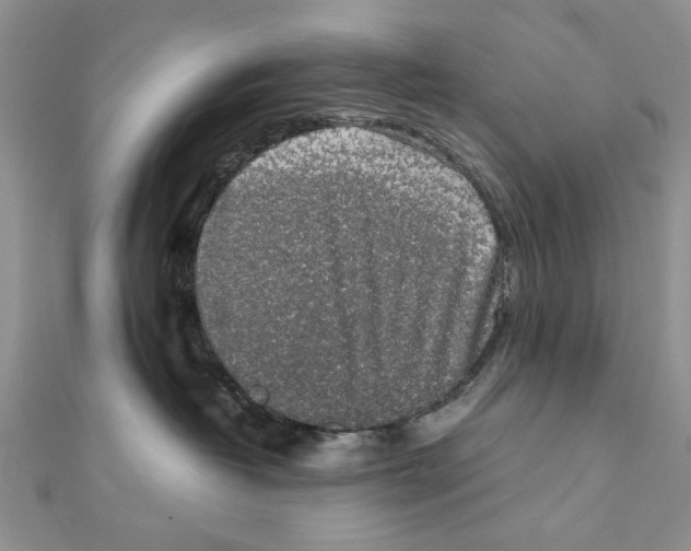 X0000111650382200908141257