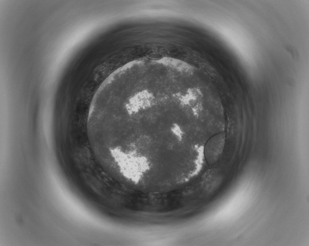 X0000111650383200908141257