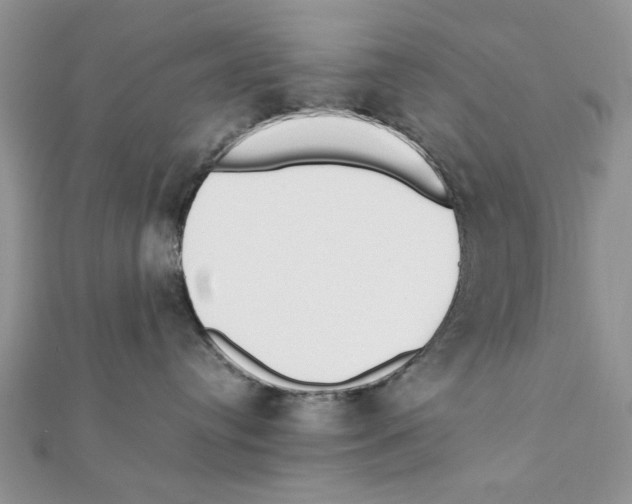 X0000111650384200908141257