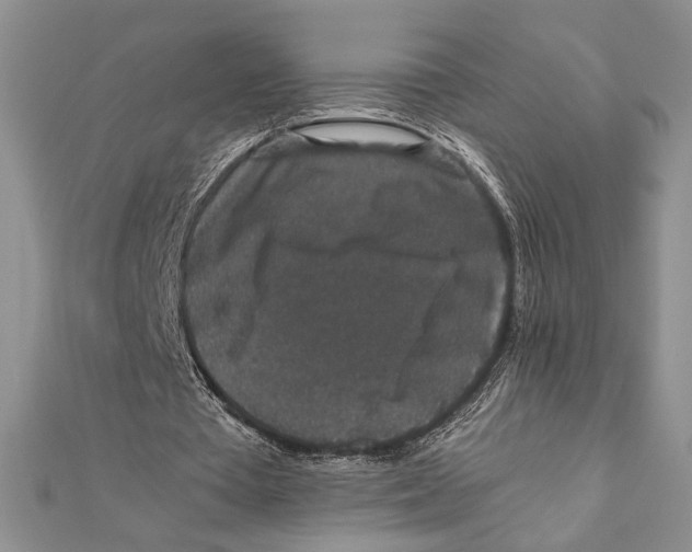 X0000111650385200908141257