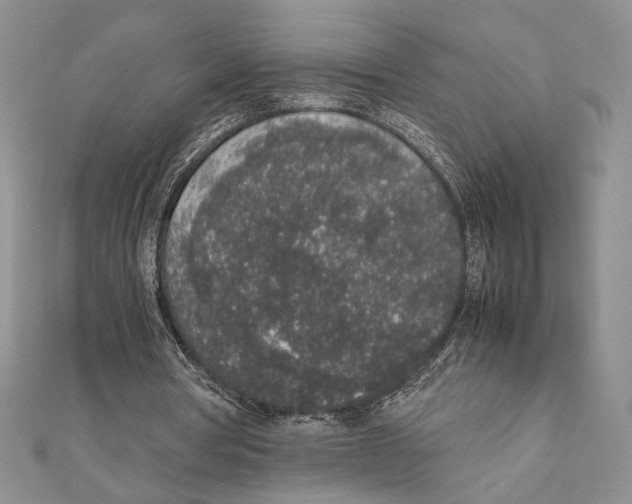 X0000111650386200908141257