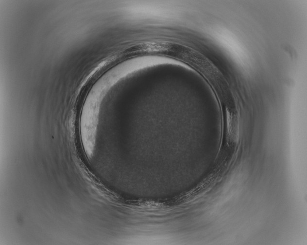 X0000111650387200908141257