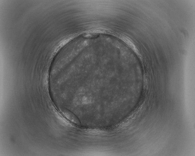 X0000111650389200908141256