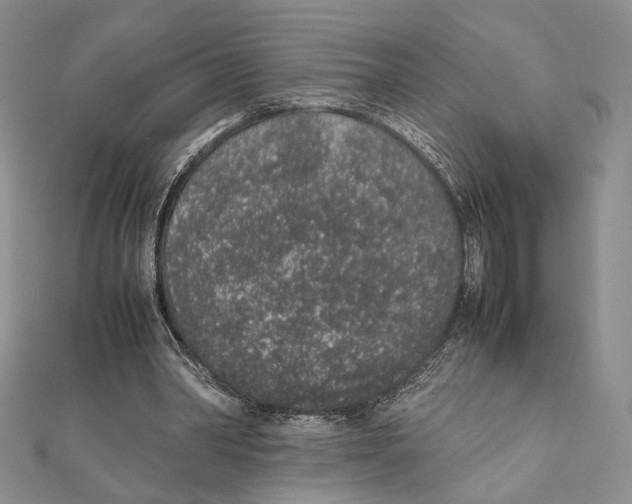 X0000111650390200908141256