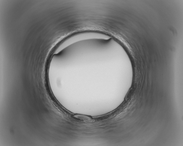 X0000111650391200908141256
