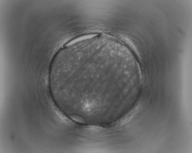 X0000111650393200908141256