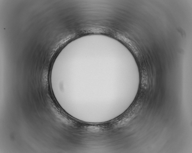 X0000111650394200908141256