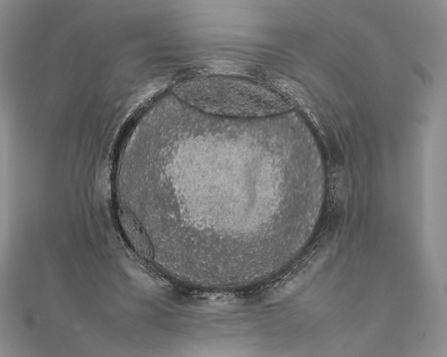 X0000111650395200908141256