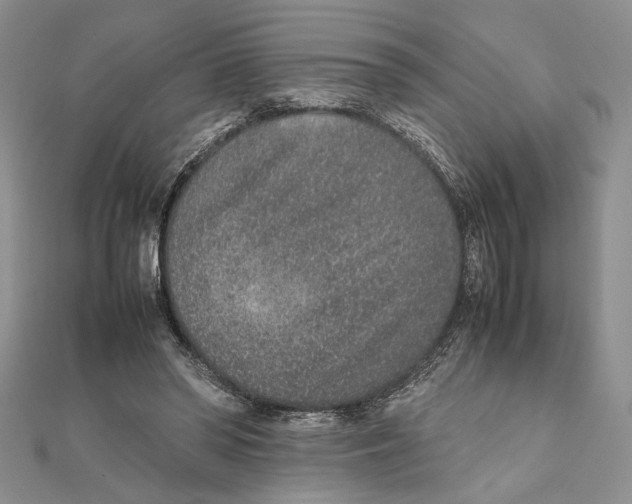 X0000111650398200908141256
