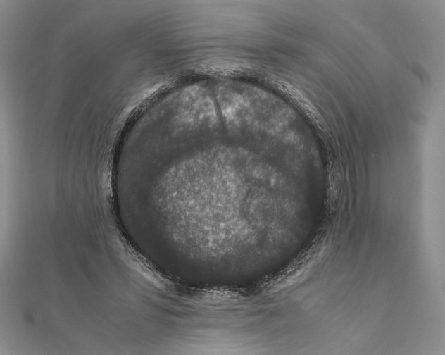 X0000111650399200908141256