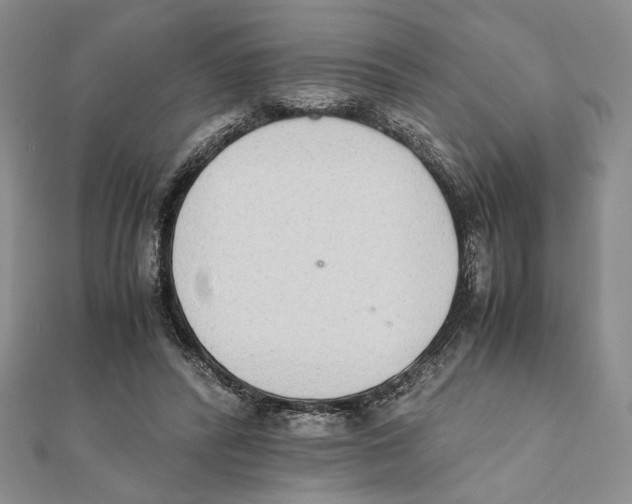 X0000111650400200908141256