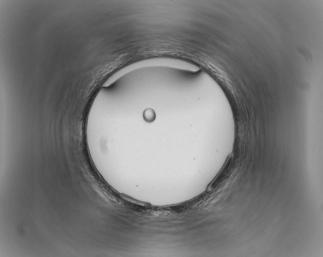 X0000111650401200908141256