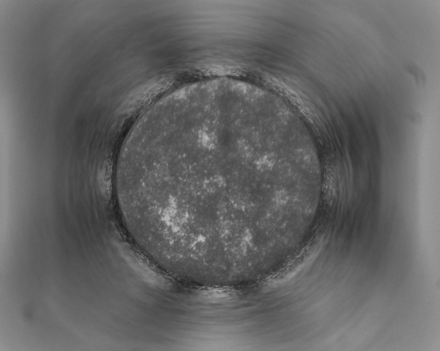 X0000111650402200908141256