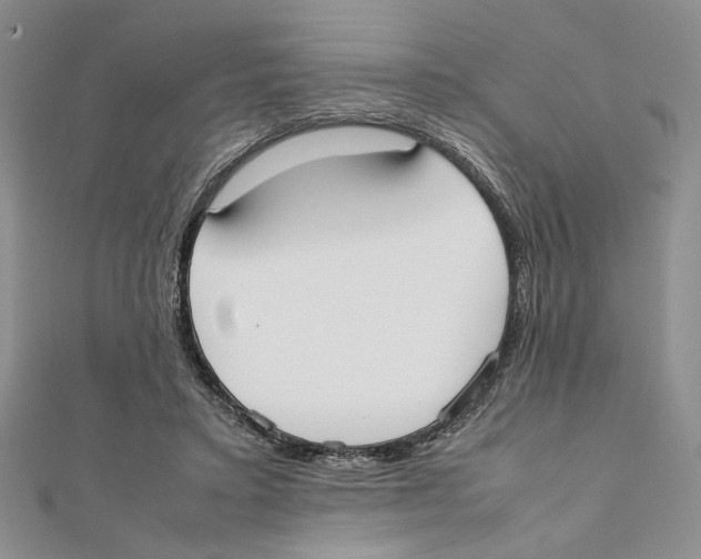 X0000111650403200908141256
