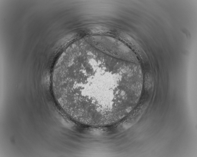 X0000111650405200908141256