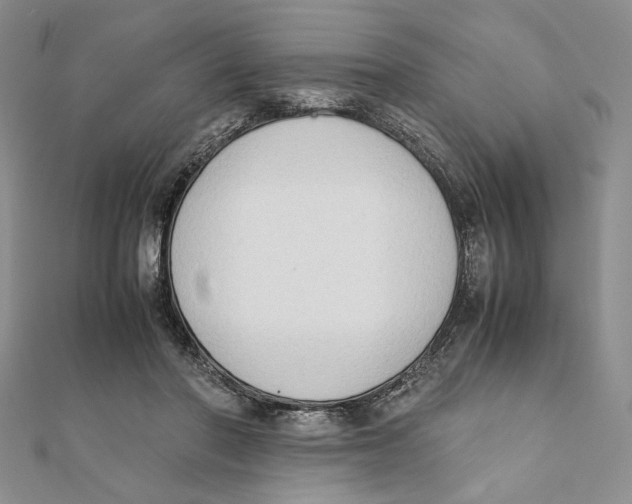 X0000111650406200908141256