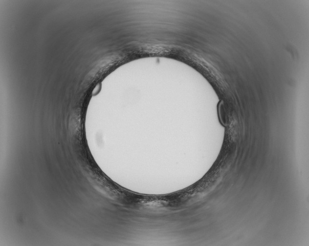 X0000111650407200908141256