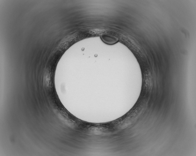 X0000111650408200908141256